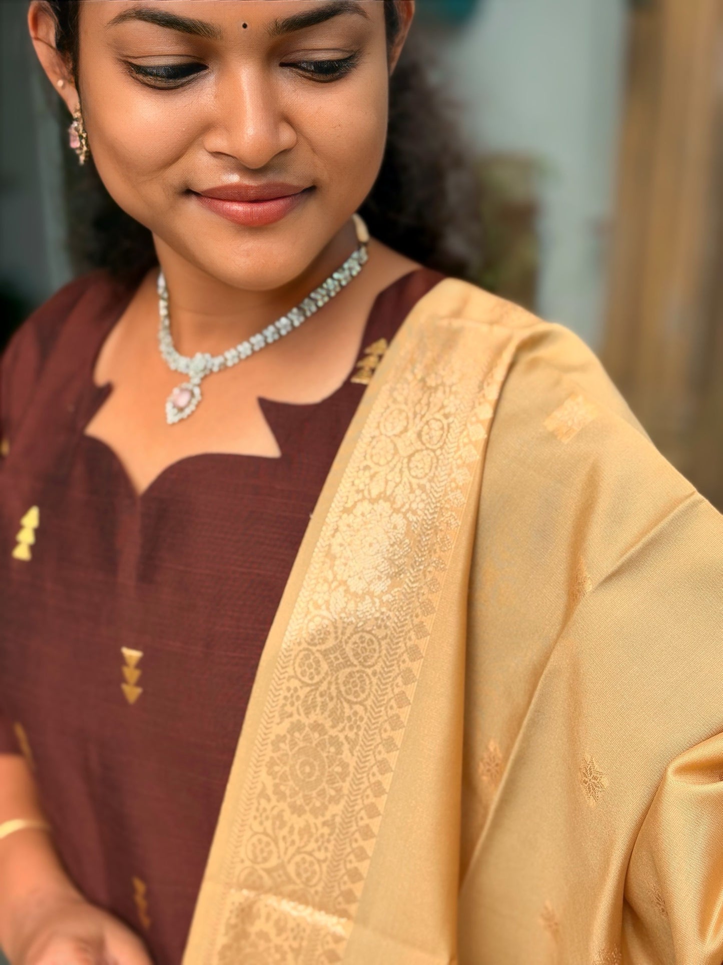 Walnut Dusk Salwar Suit