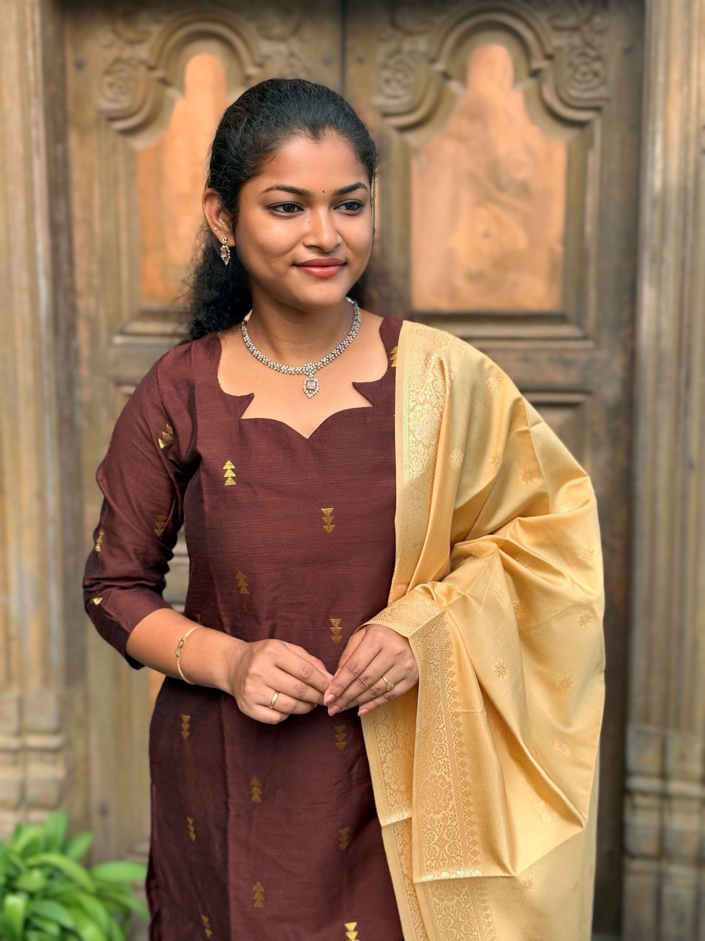 Walnut Dusk Salwar Suit